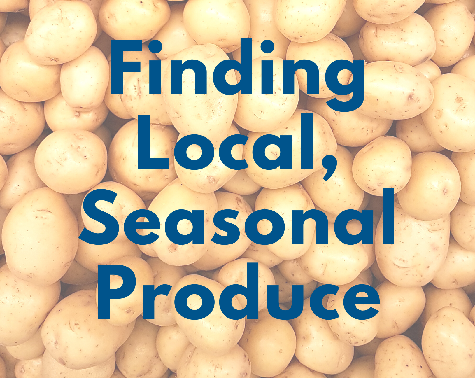 Finding Local, Seasonal Produce for your Family