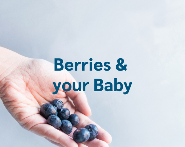 Baby throwing deals up blueberries