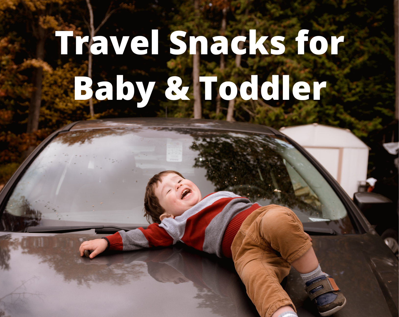 Top Travel Snacks for Baby or Toddler