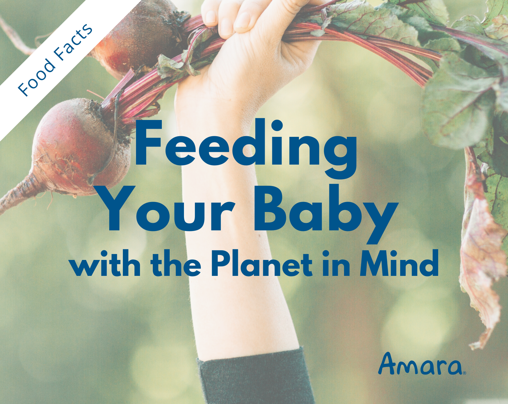 Feeding your Baby with the Planet in Mind