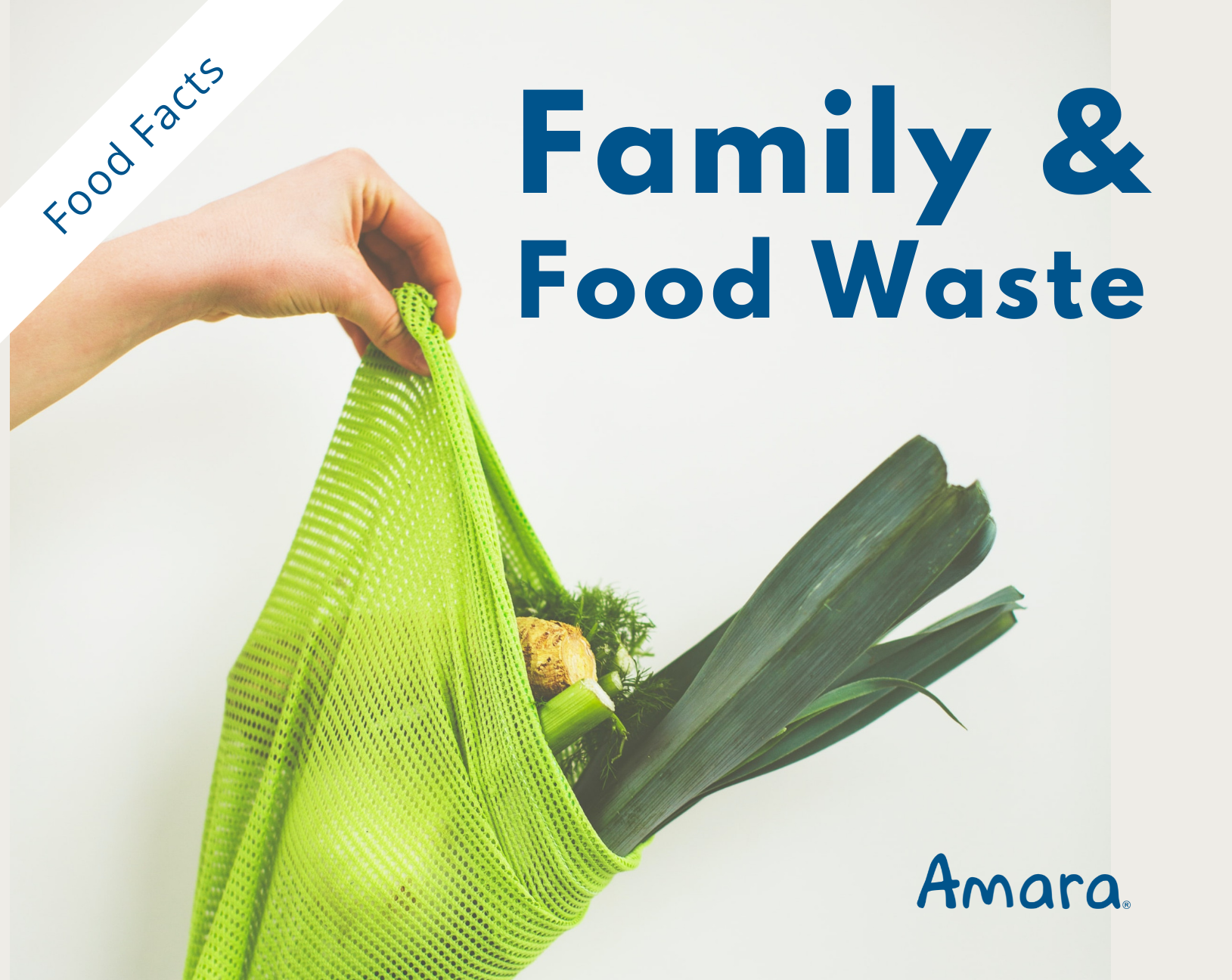 reducing family's food waste