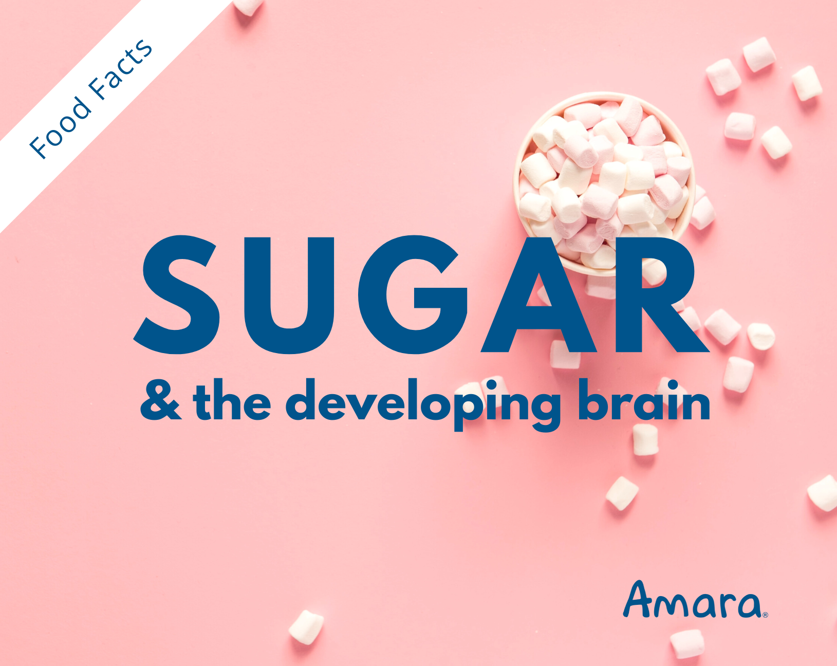 sugar and the developing brain