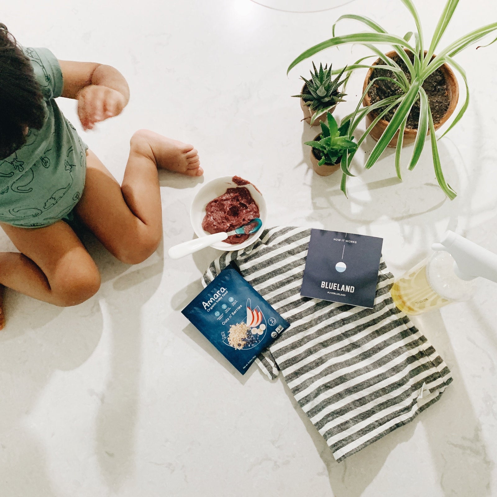 Interview with Founder of Eco-friendly cleaning company Blueland | Mini-series on Mom Entrepreneurs-Amara Organic Foods