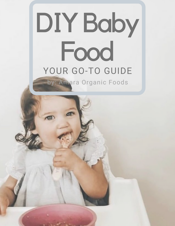 How to Pack the Perfect Toddler Lunch - Amara Organic Foods