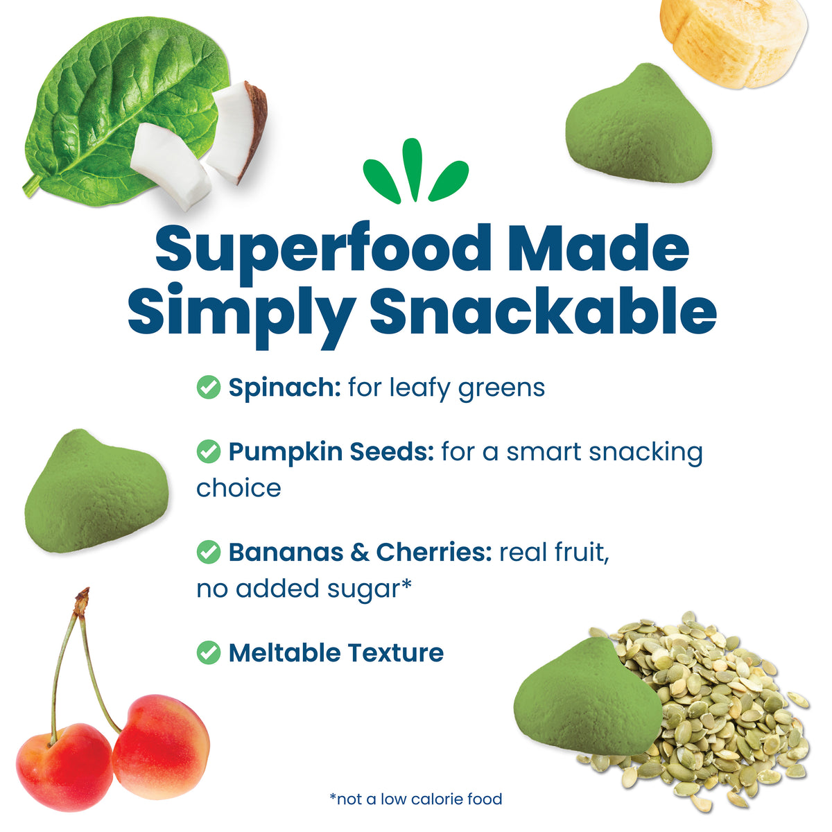 Brain Superfood Smoothie Melts