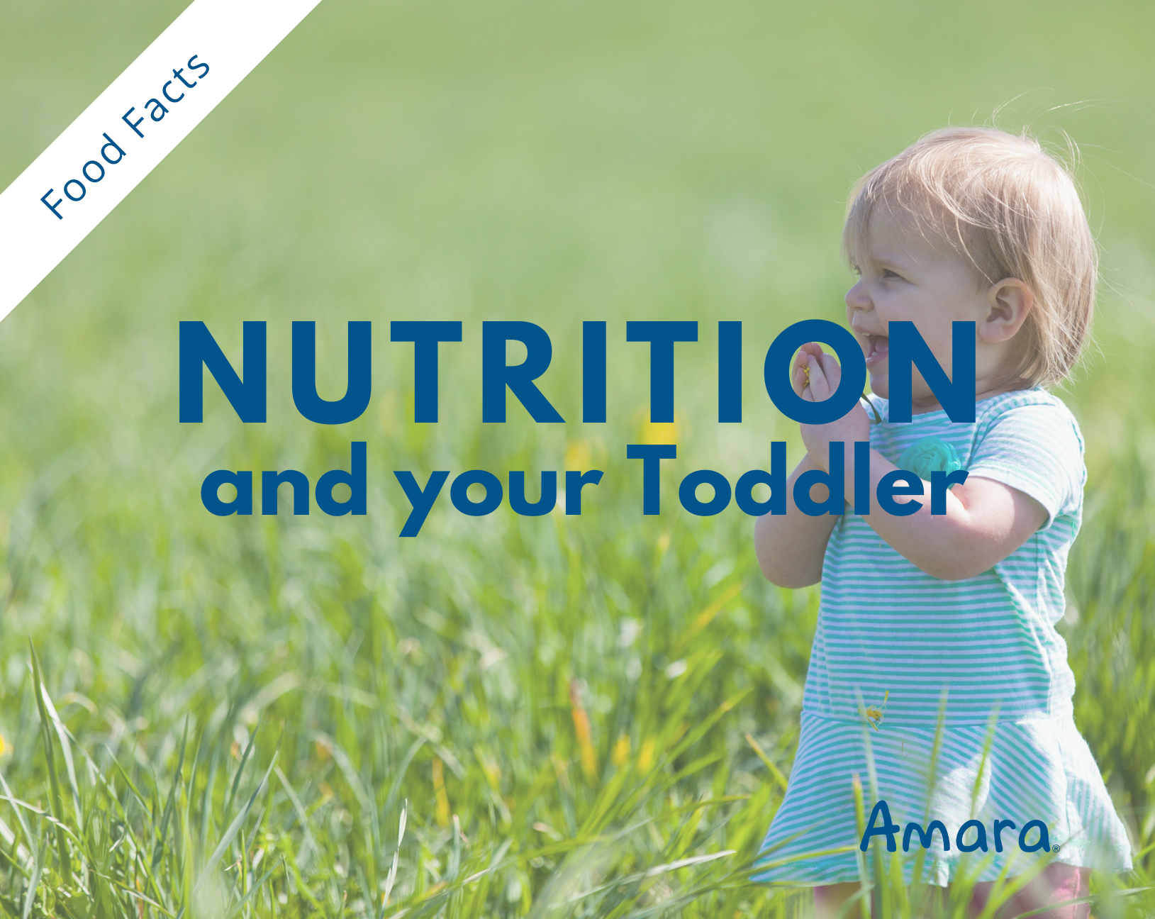 Nutrition for your Toddler-Amara Organic Foods