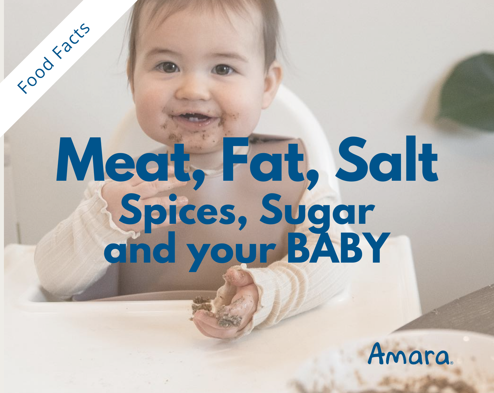 introducing meat, fat, and salt to your baby
