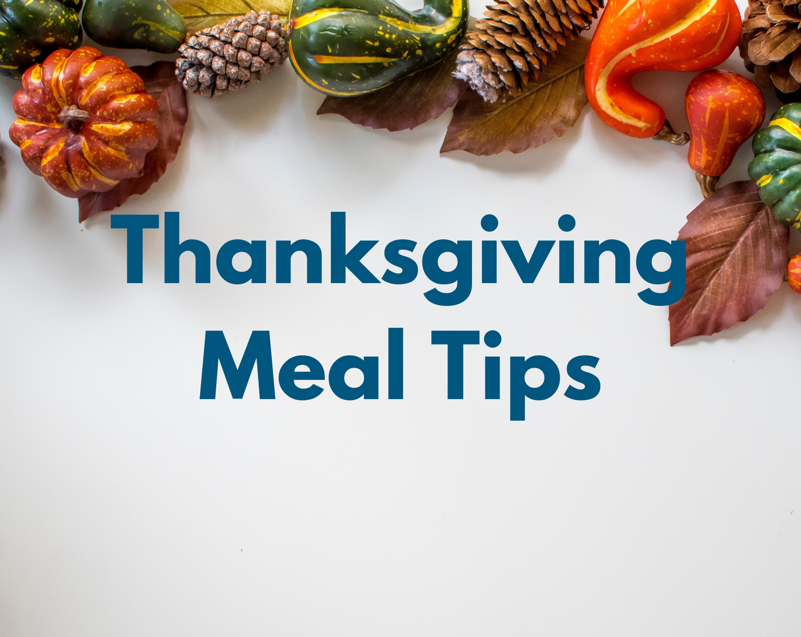 tips for thanksgiving dinner with kids