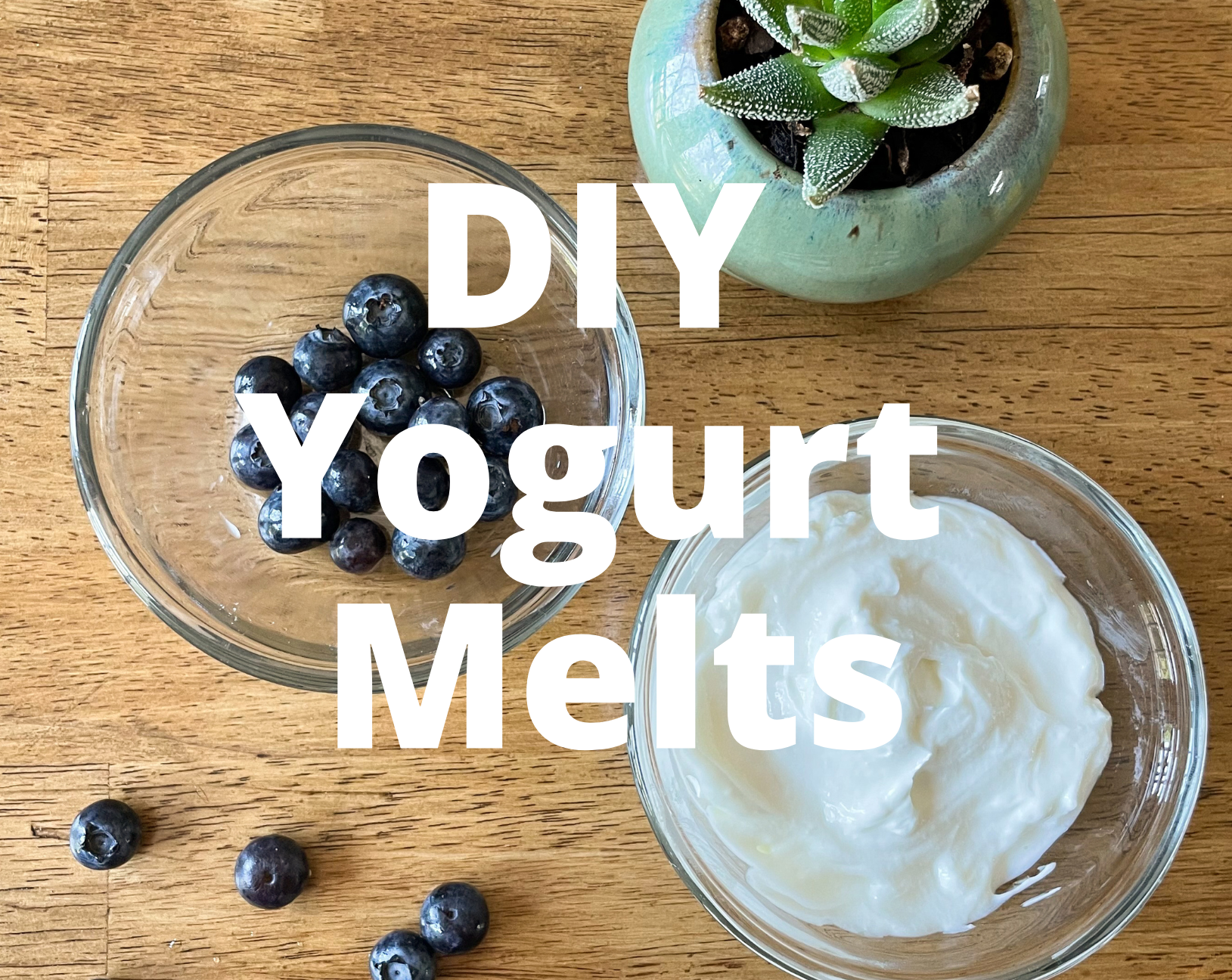 easy homemade yogurt melts