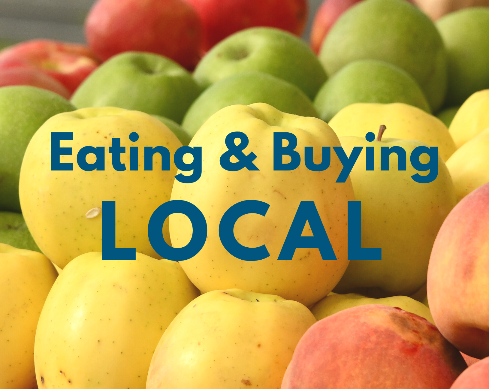 Eating and Buying Local Food