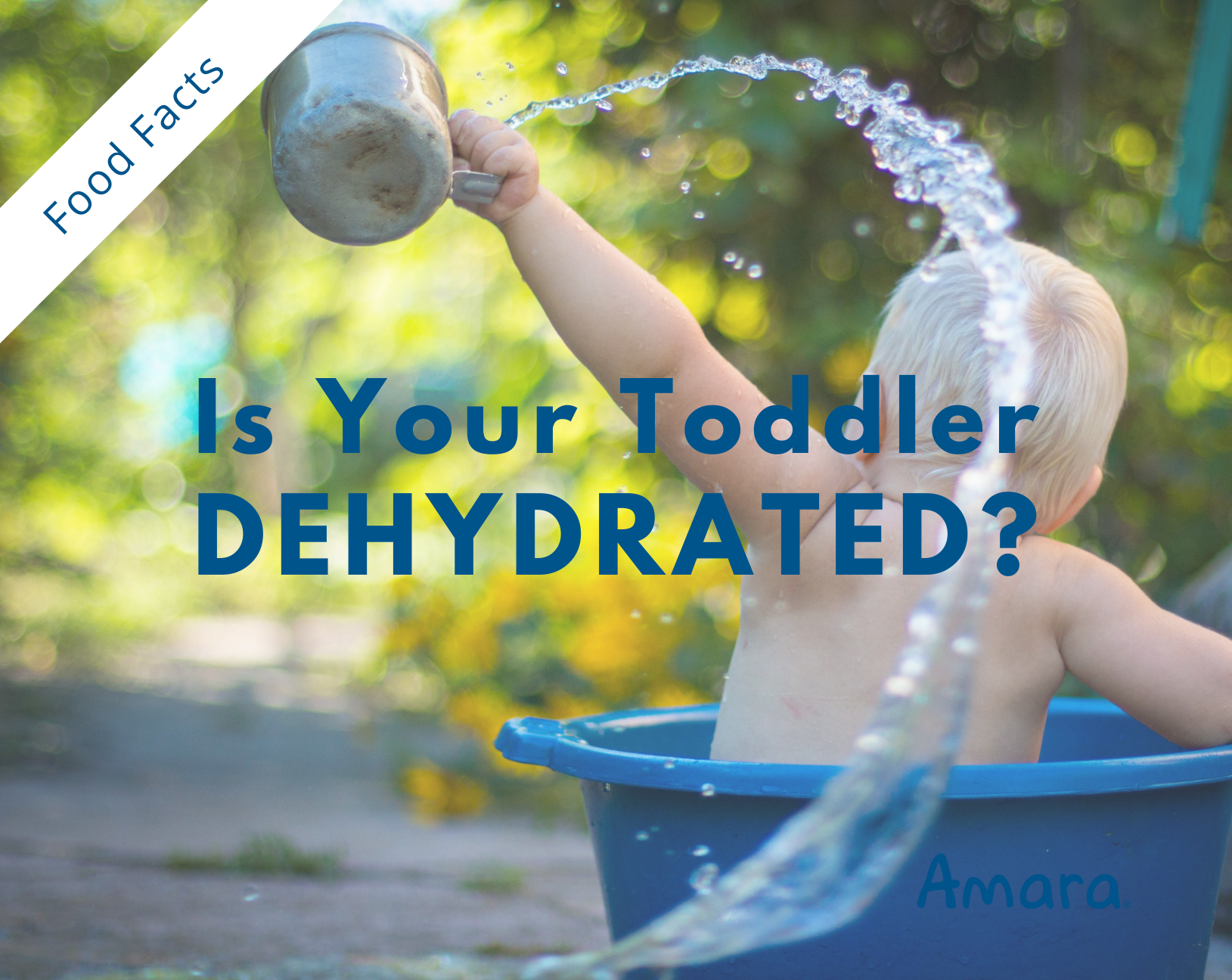 toddler hydration and dehydration