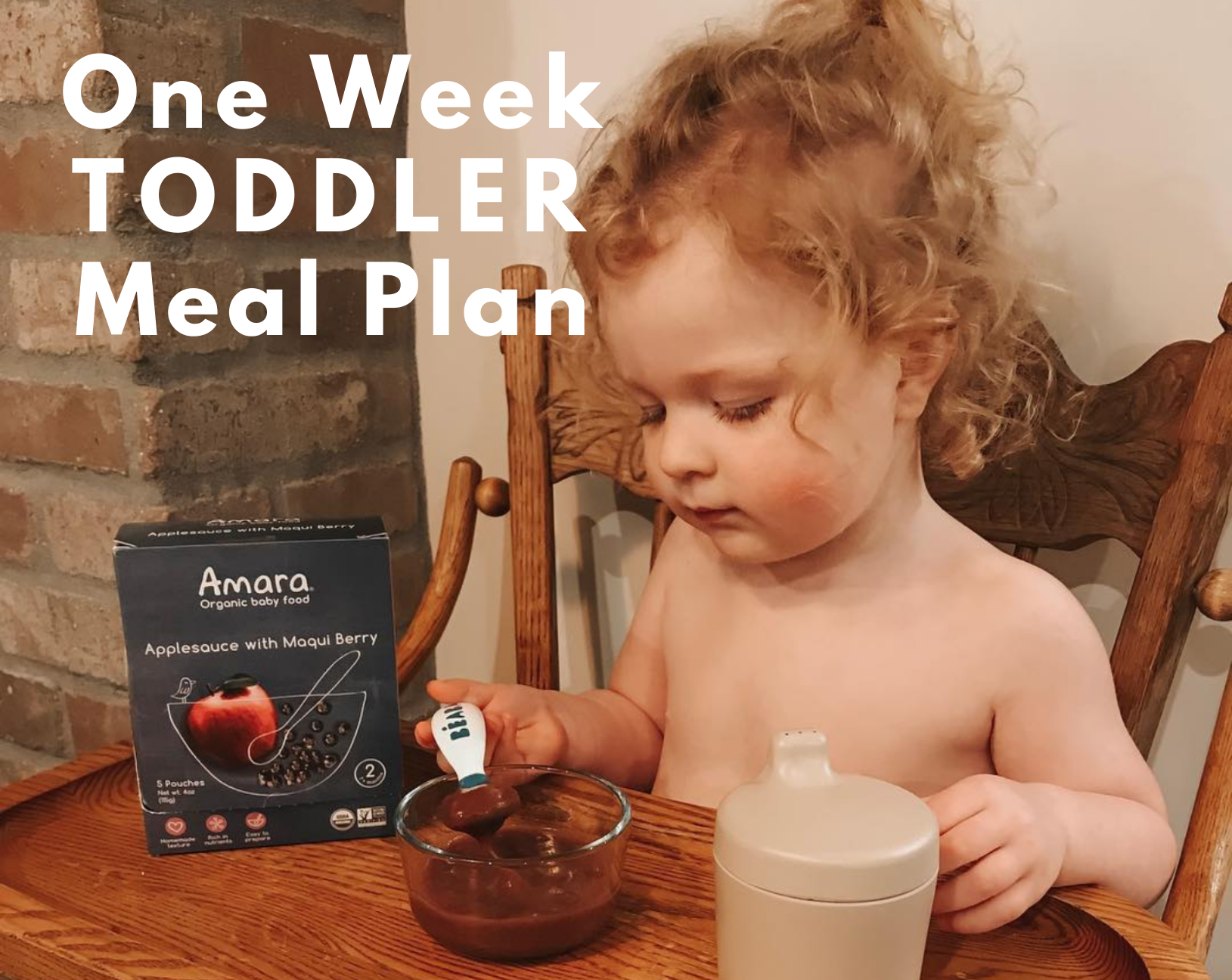 one week of toddler meal ideas