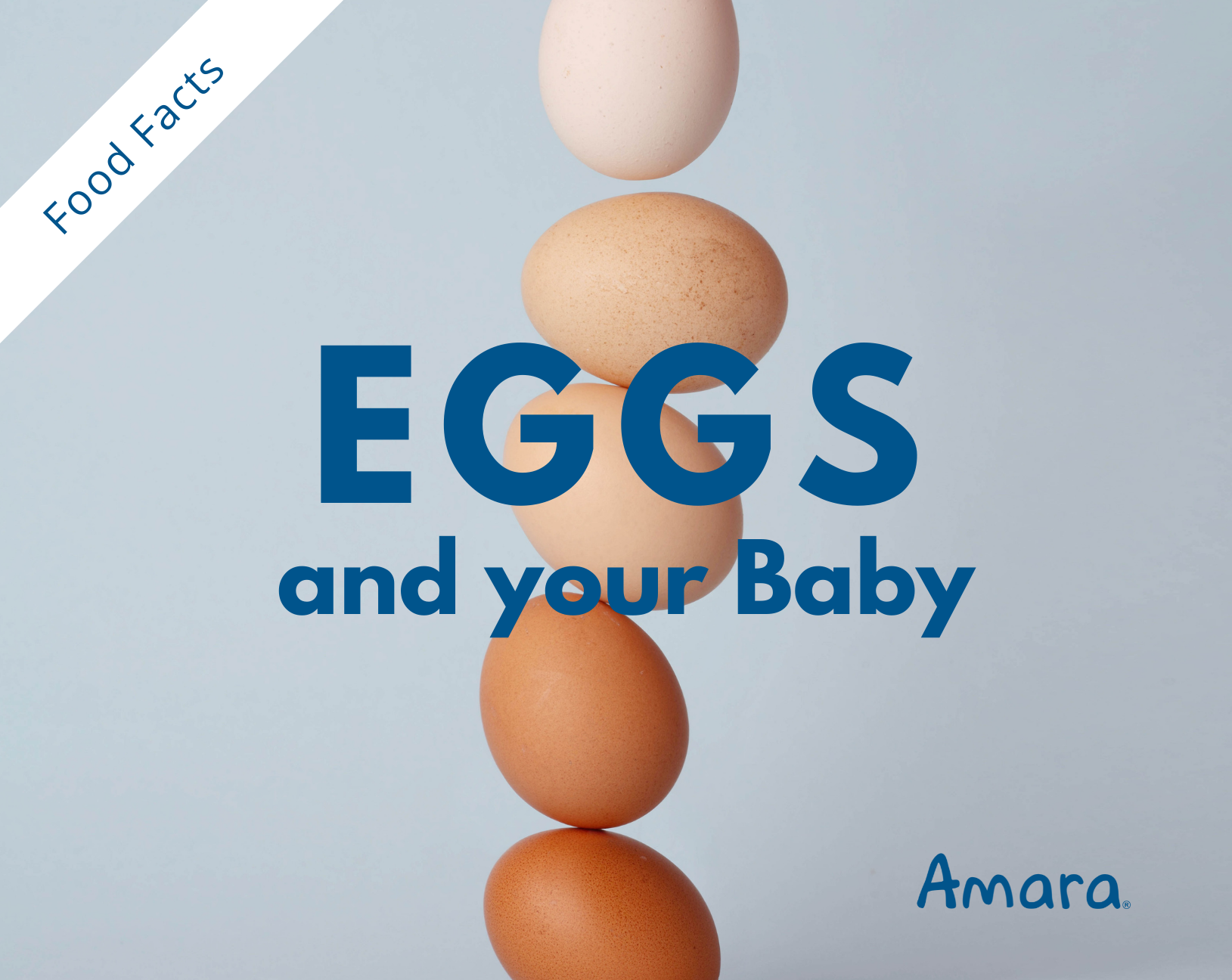 eggs and your baby toddler