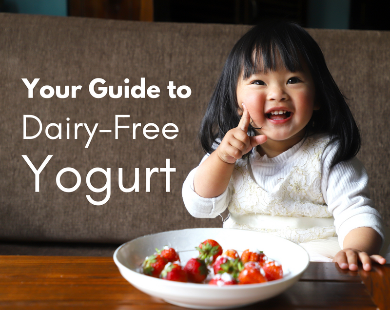 Non dairy yogurt for sales babies