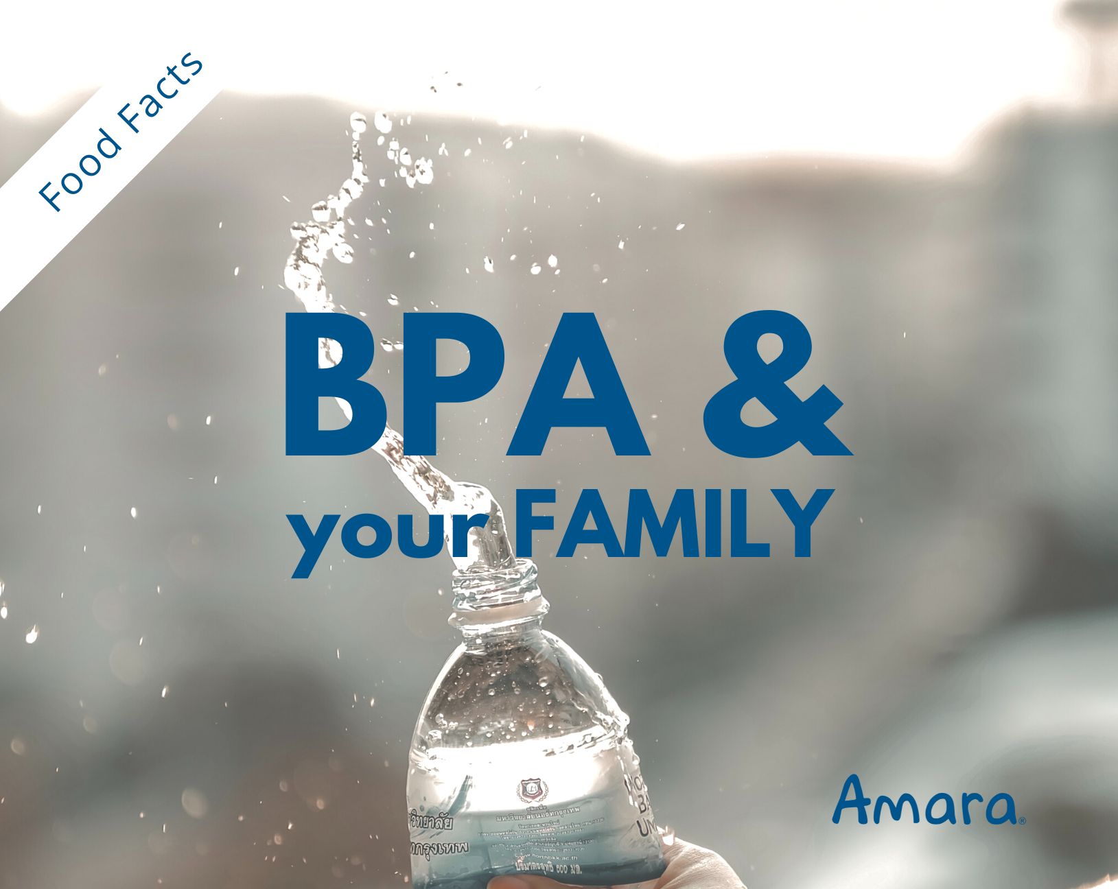 bpa and your family