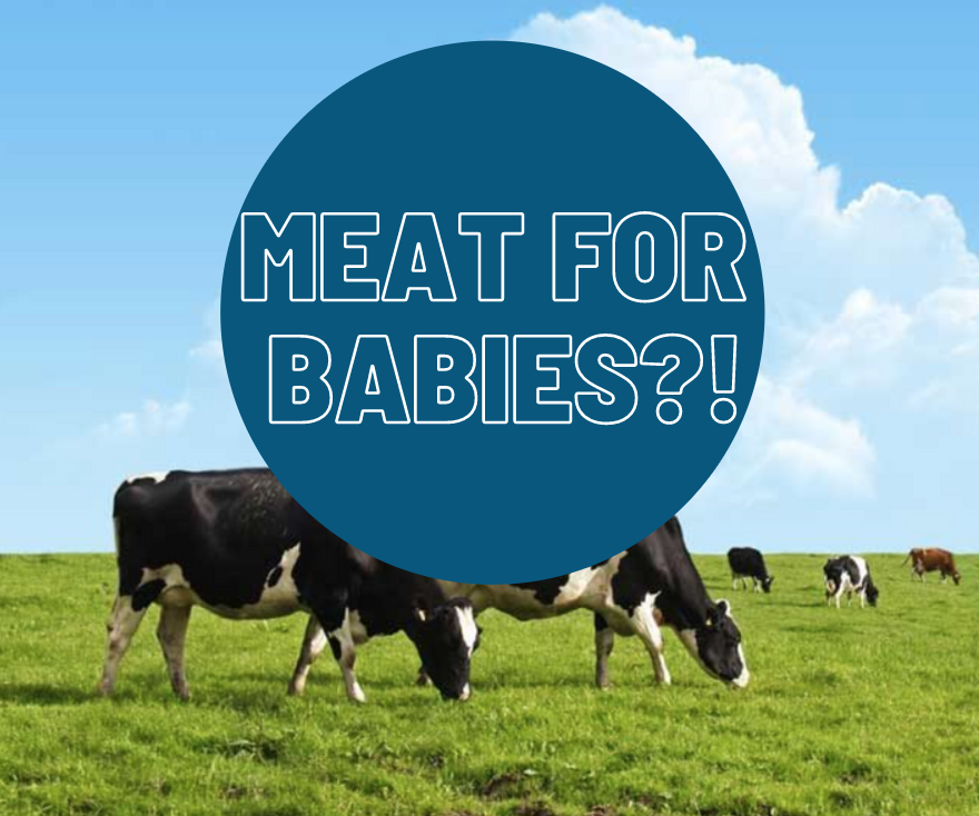 Meat, In Baby Food?! The What, How, When and Why to feed meat to your baby-Amara Organic Foods