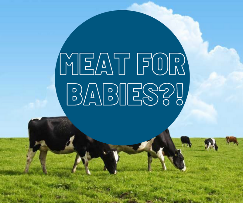 Feeding Beef to Your Baby