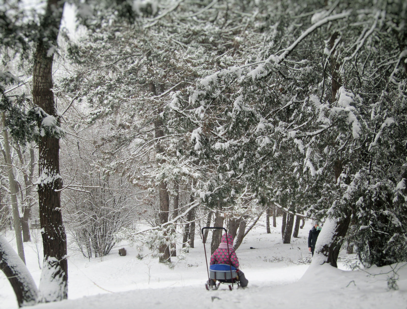 10 Ways to Stay Active with your Baby this Winter-Amara Organic Foods