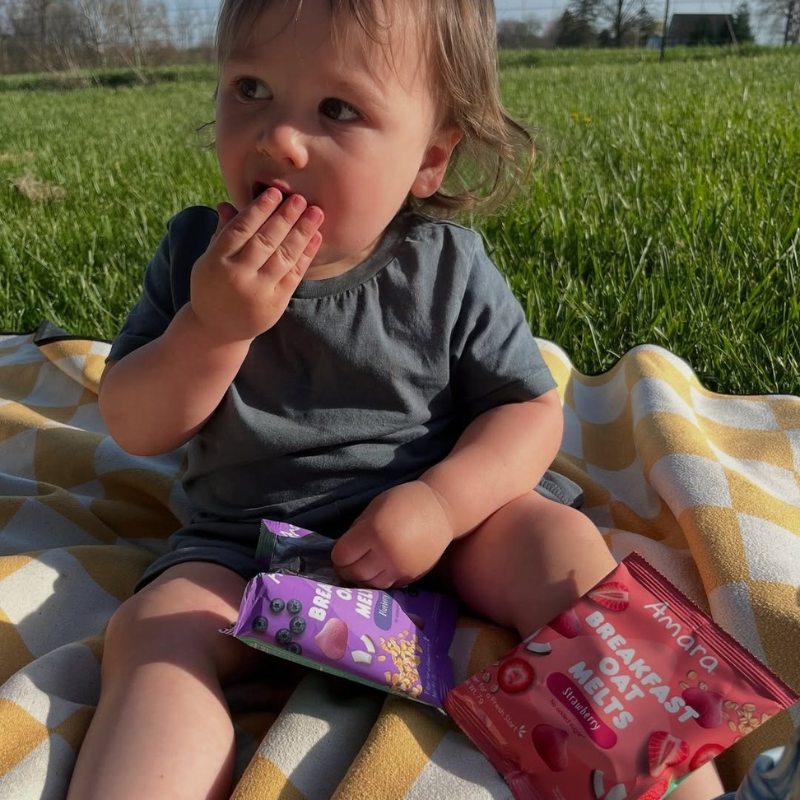 toddler picnic snacks