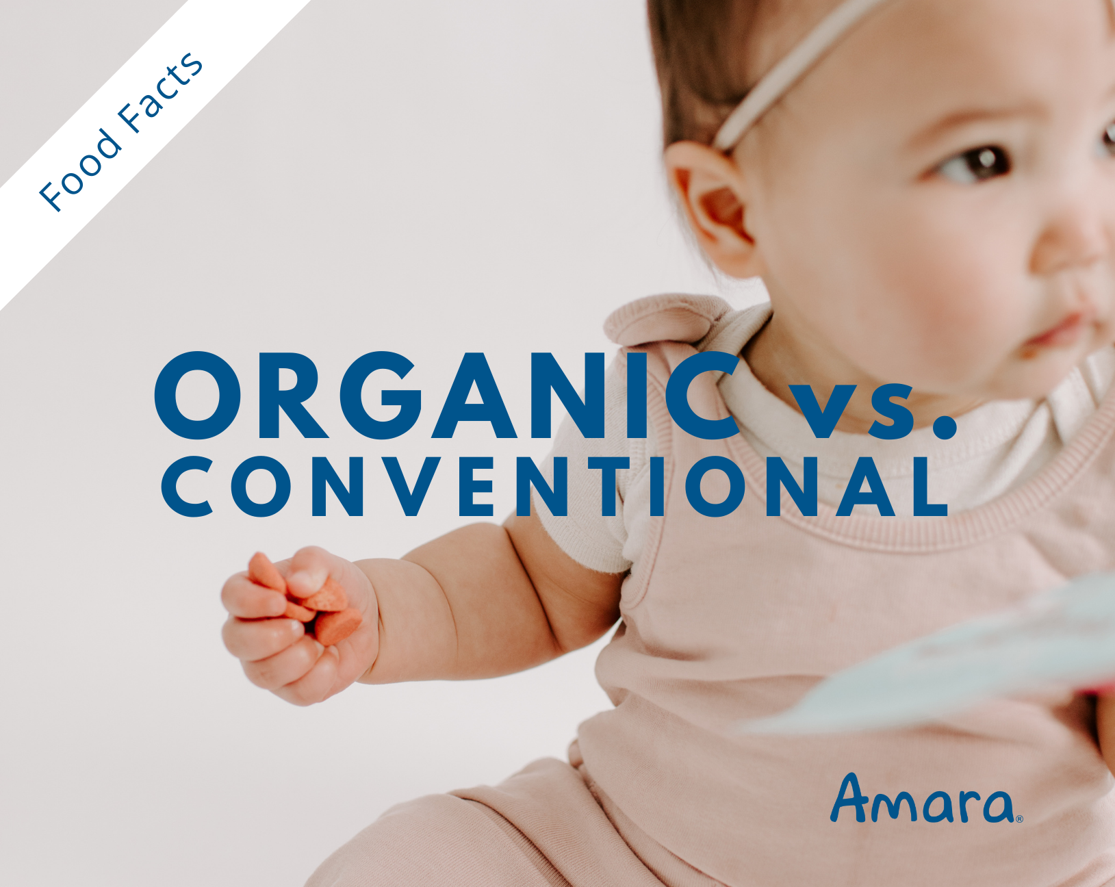 A Closer Look at Organic Vs. Conventional Foods-Amara Organic Foods