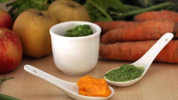 A Deep Dive into the Ingredients Used in Our Baby Fruit & Vegetable Garden