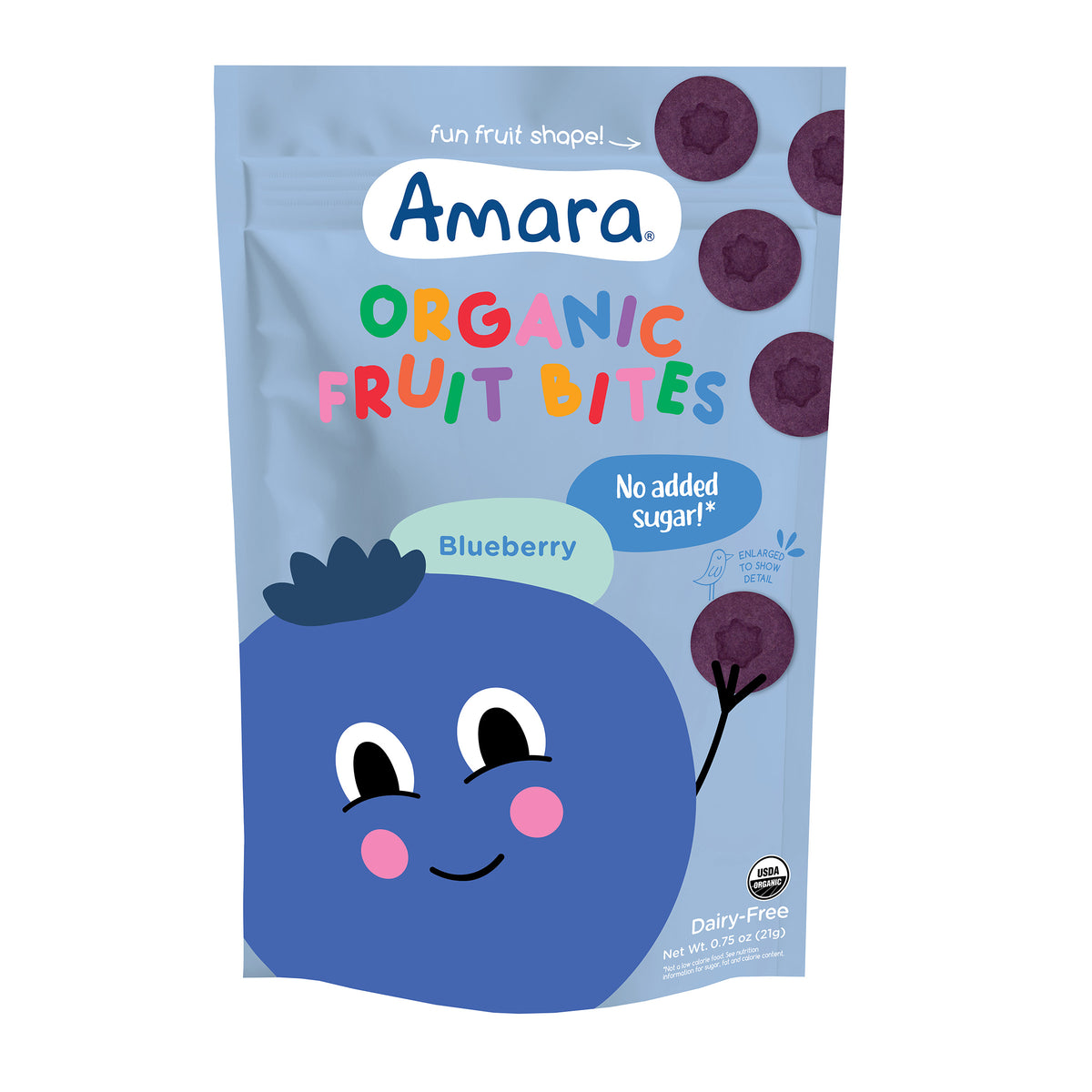 Blueberry Organic Fruit Bites