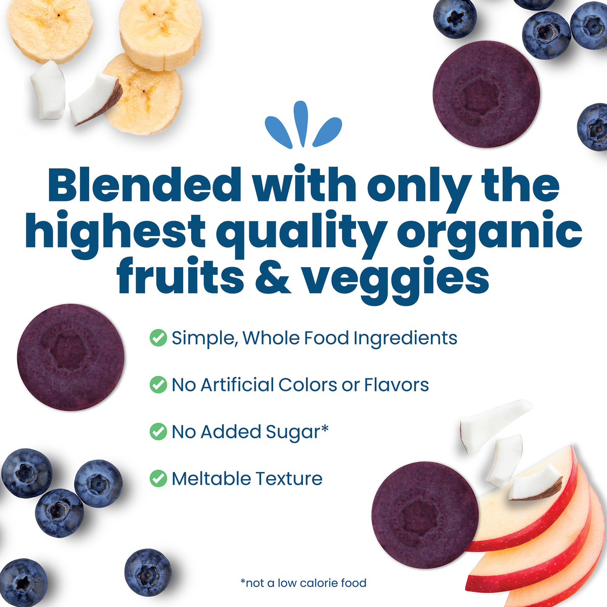 Blueberry Organic Fruit Bites