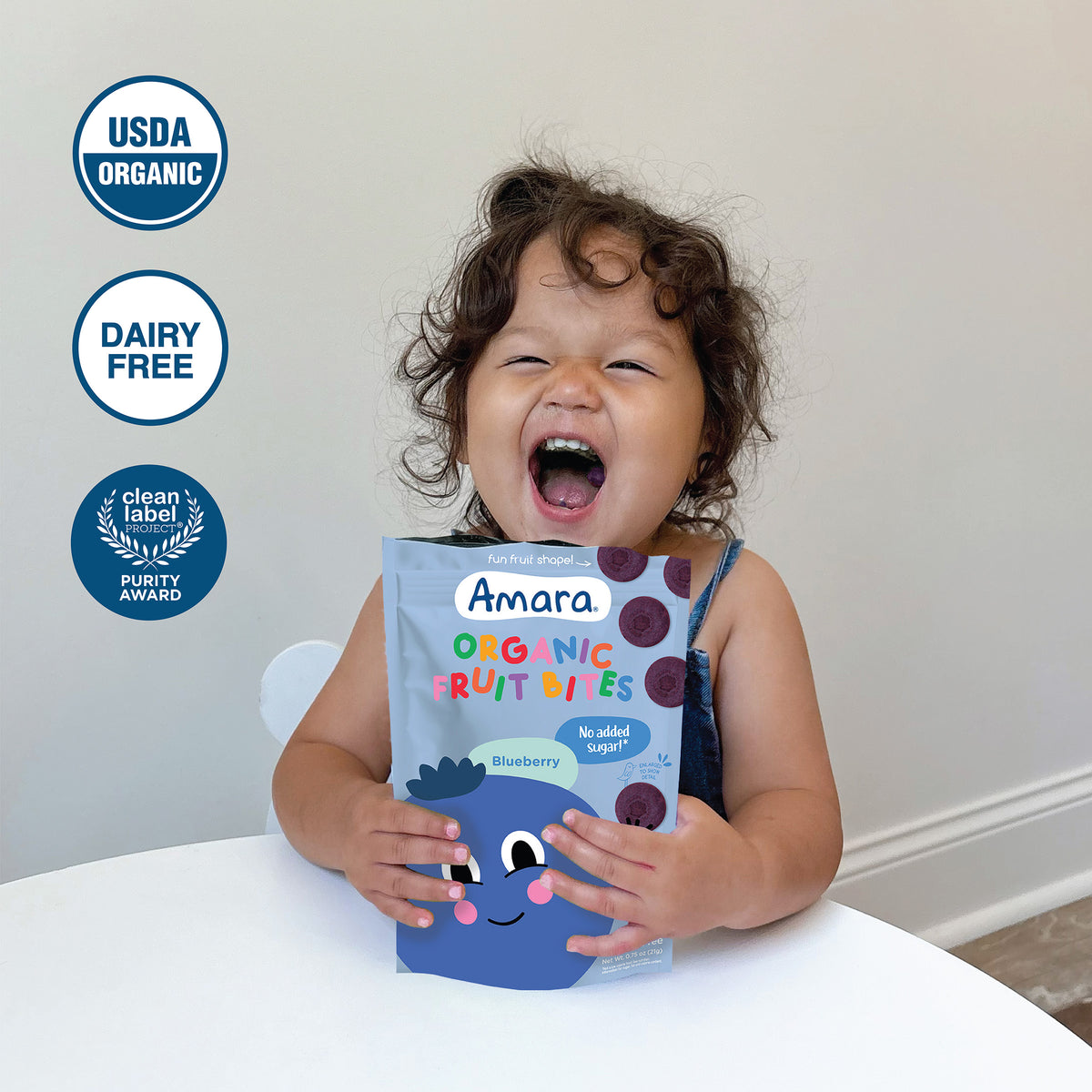 Blueberry Organic Fruit Bites