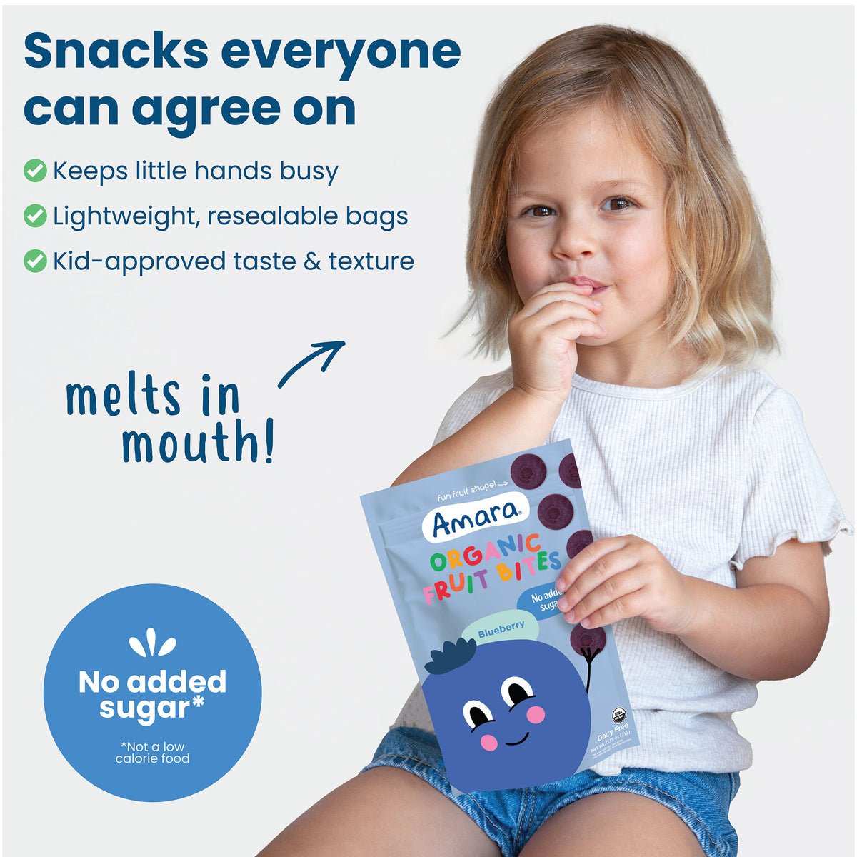 Blueberry Organic Fruit Bites