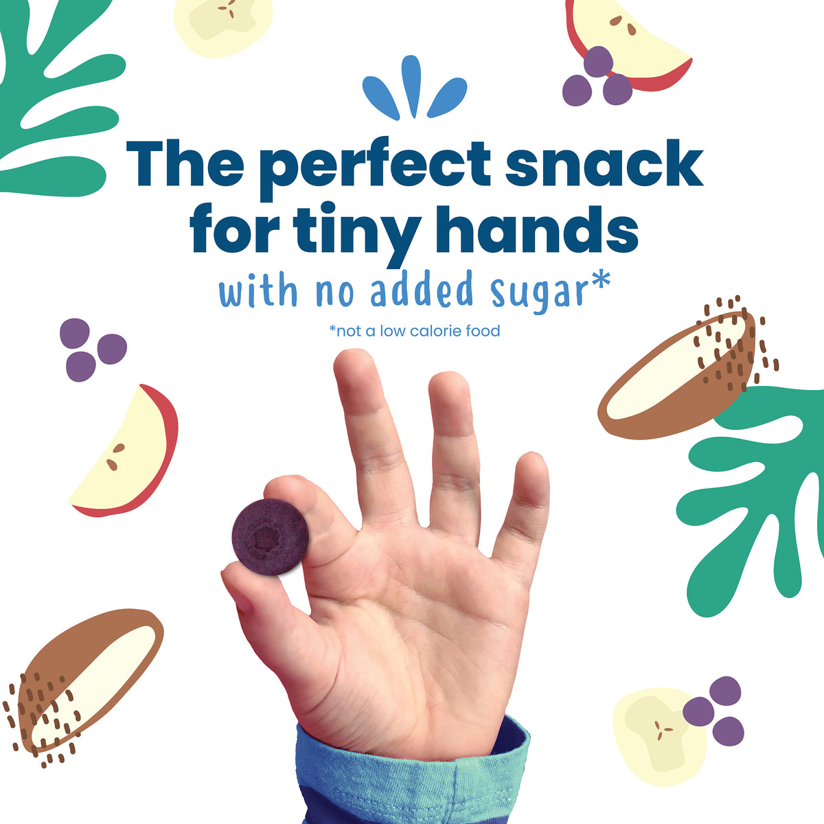 Blueberry Organic Fruit Bites