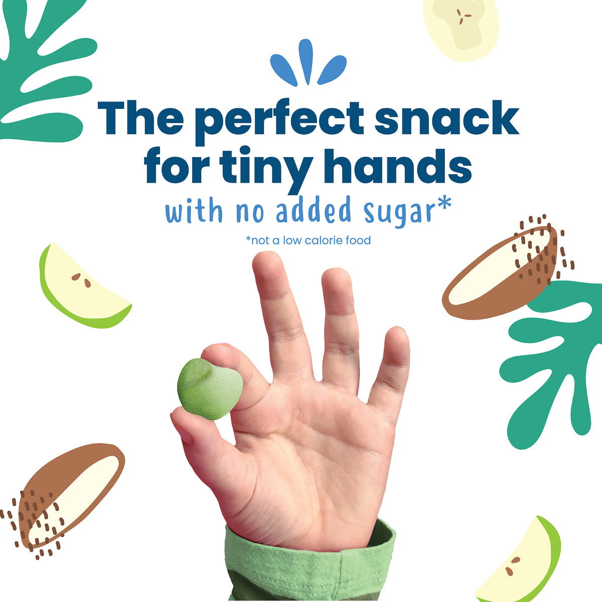 Apple Kale Organic Fruit Bites