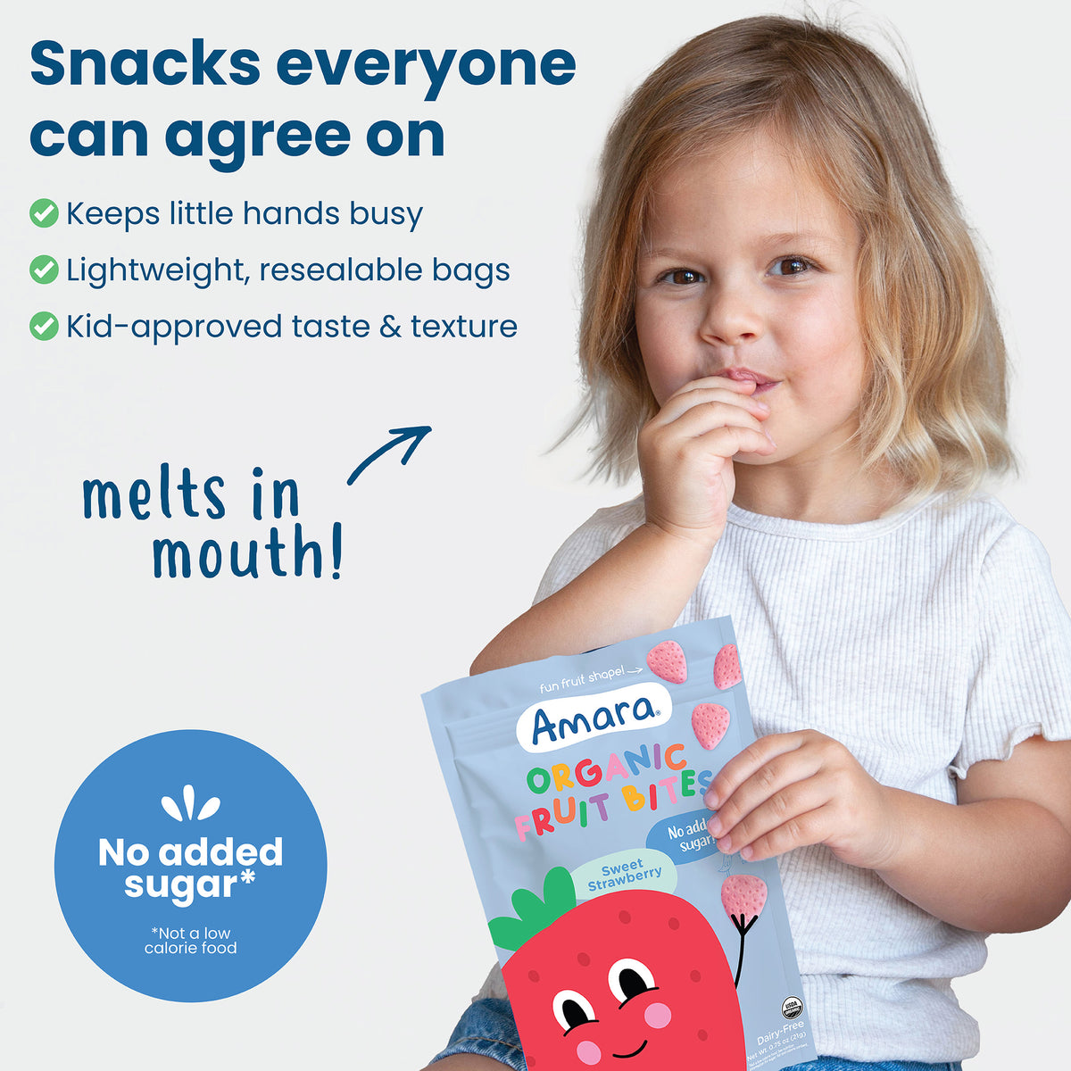 Sweet Strawberry Organic Fruit Bites