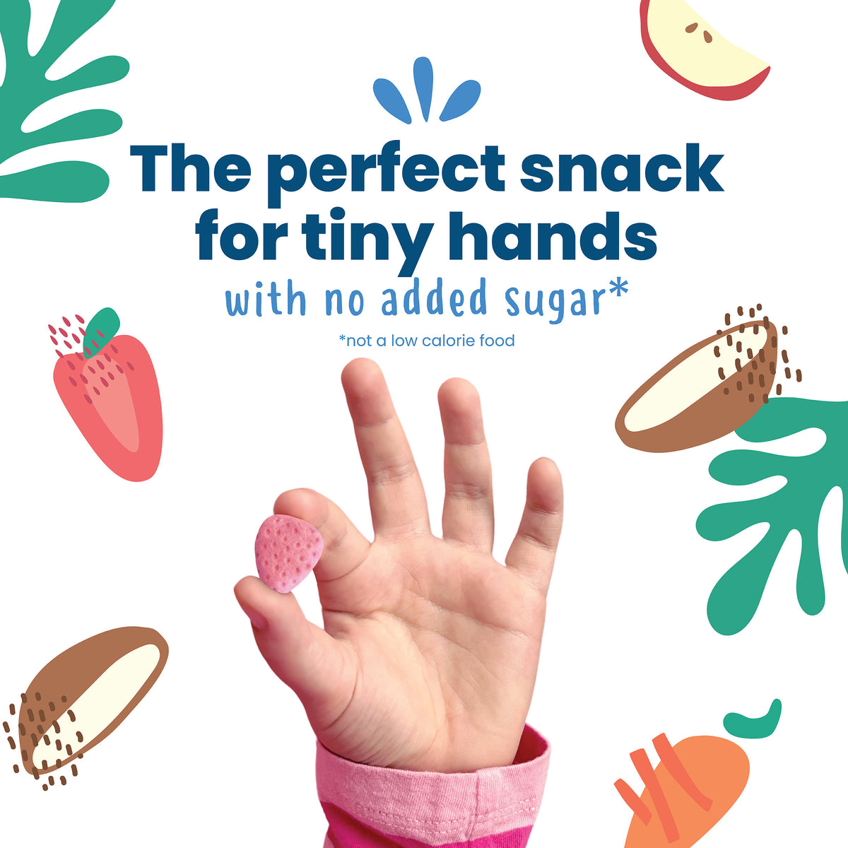 Sweet Strawberry Organic Fruit Bites