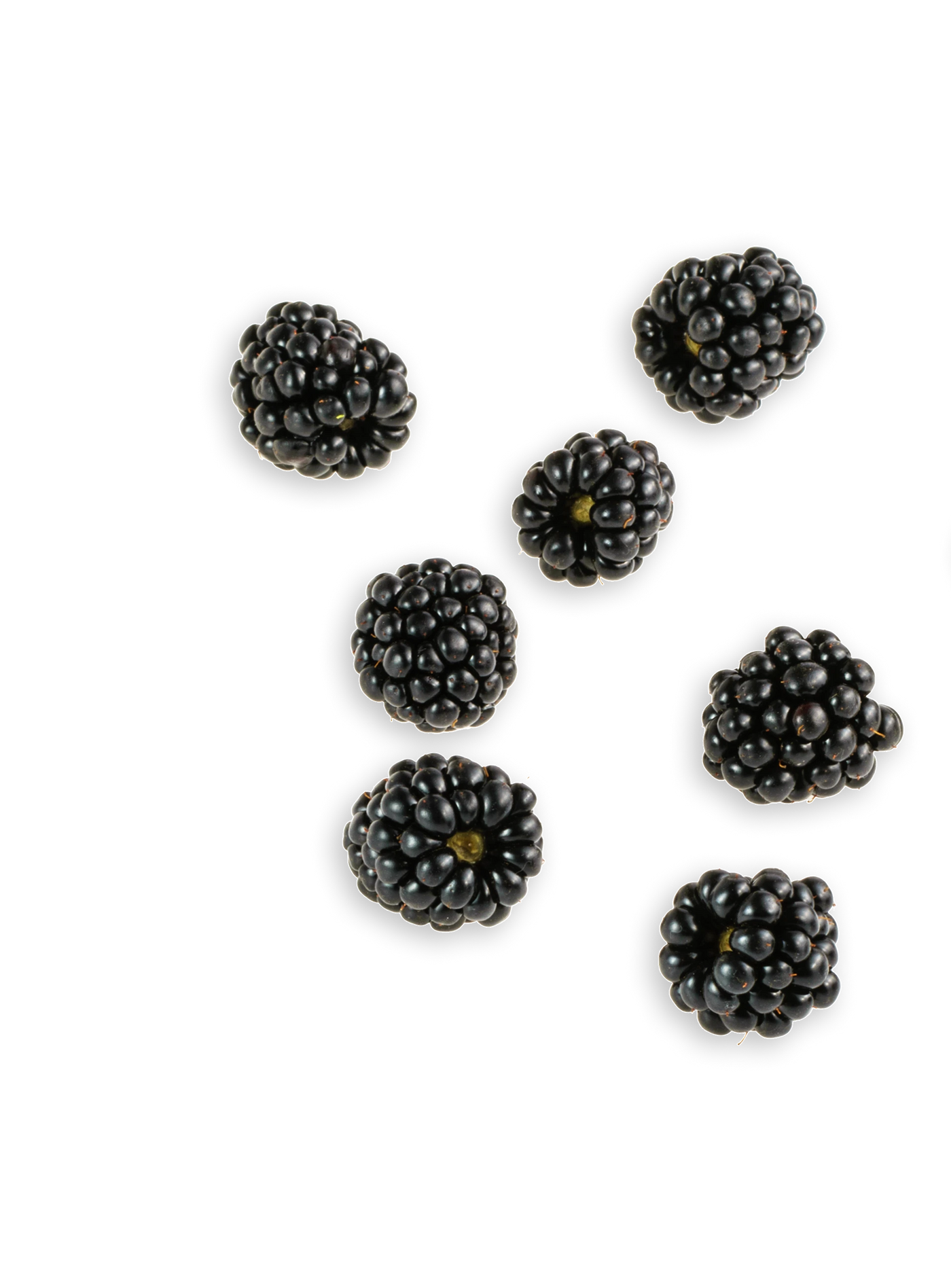 black-berries