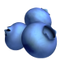 Blueberry